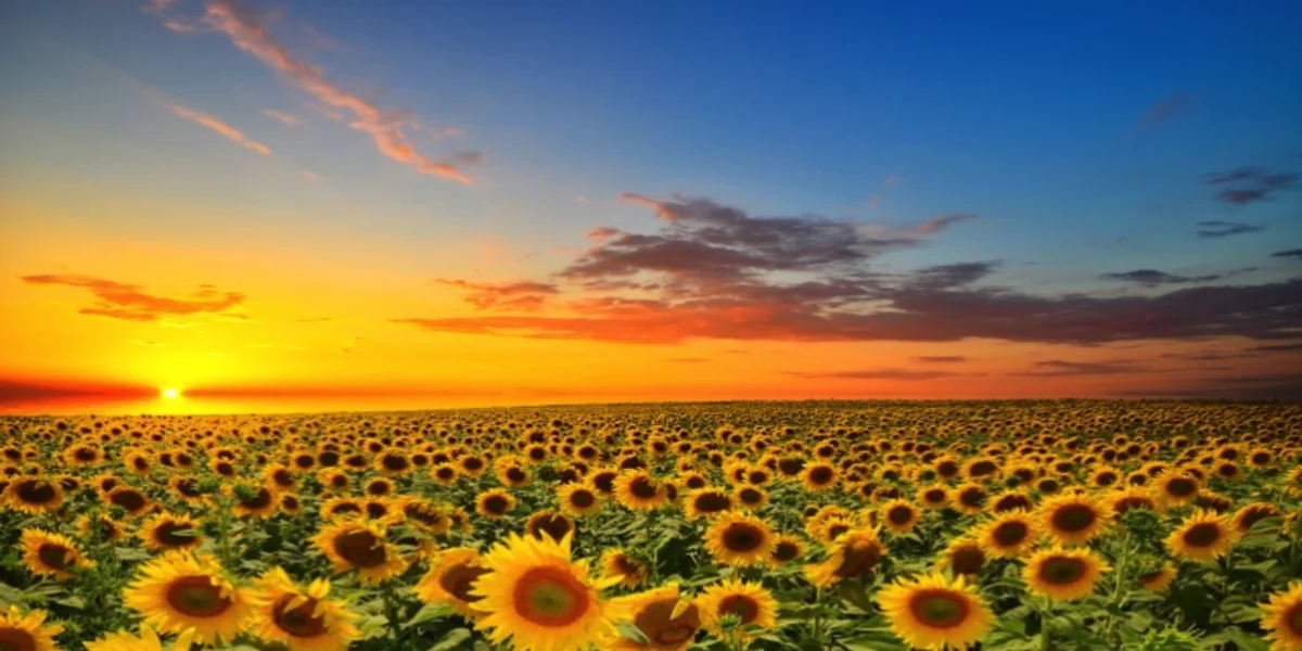 W drodze do siebie 3